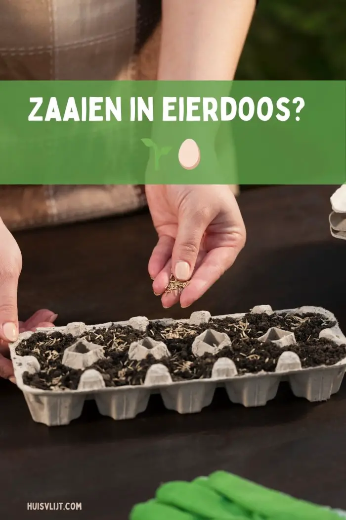 zaaien in eierdoos