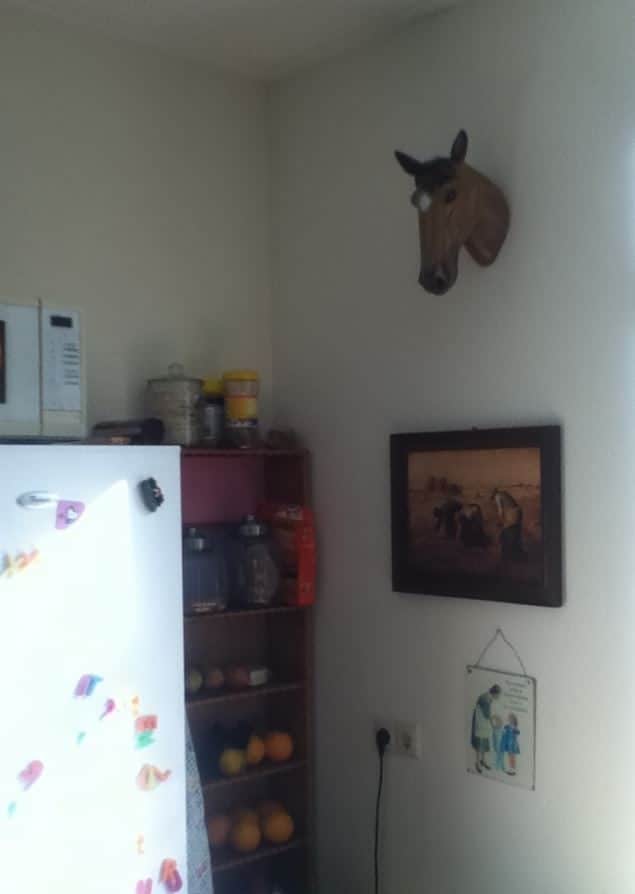 Wat doet die paardenkop in mijn keuken? 1 paardenkop Action