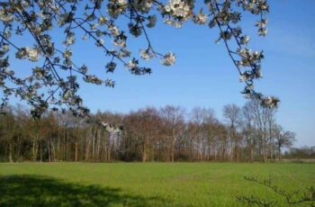 Schommelbank en parasols: 50,-