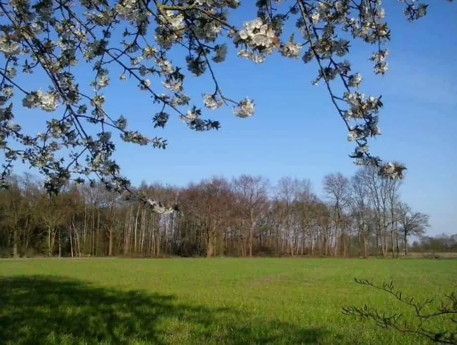 Schommelen op mijn schommelbank