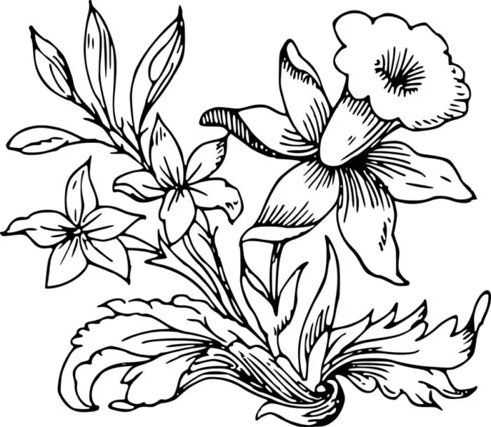 bloemen kleurplaten