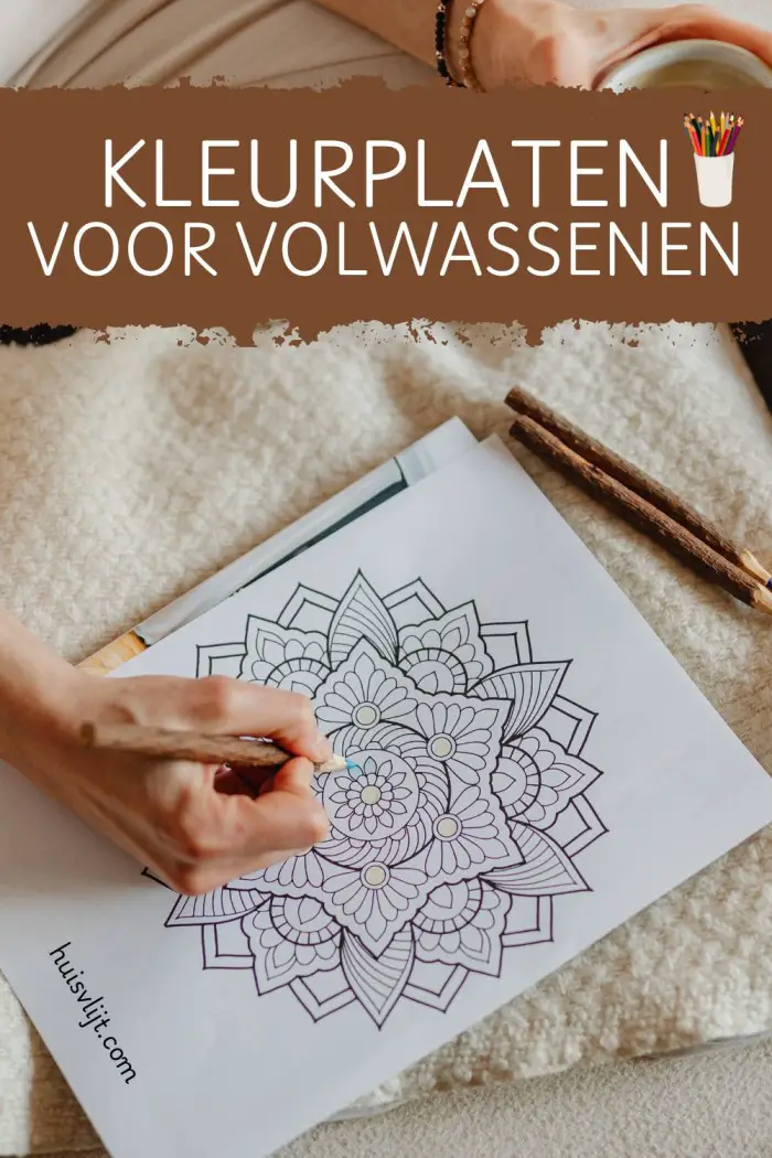 kleurplaten voor volwassenen inspiratie