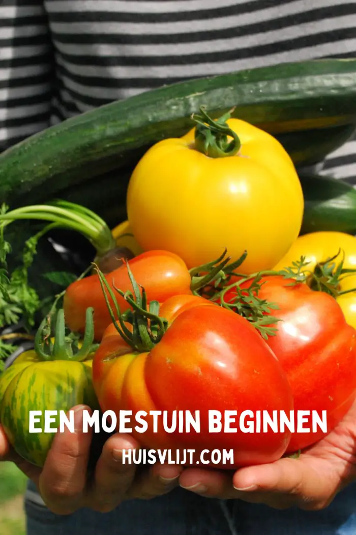 Moestuin beginnen met Groentje in de moestuin