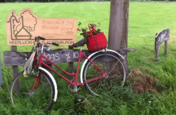 Fiets als ornament!