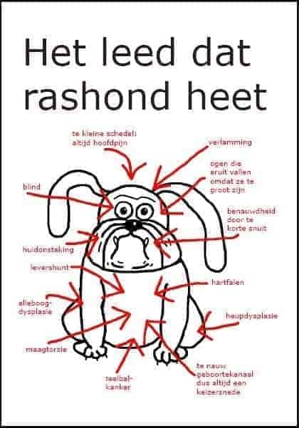 rashond kopen