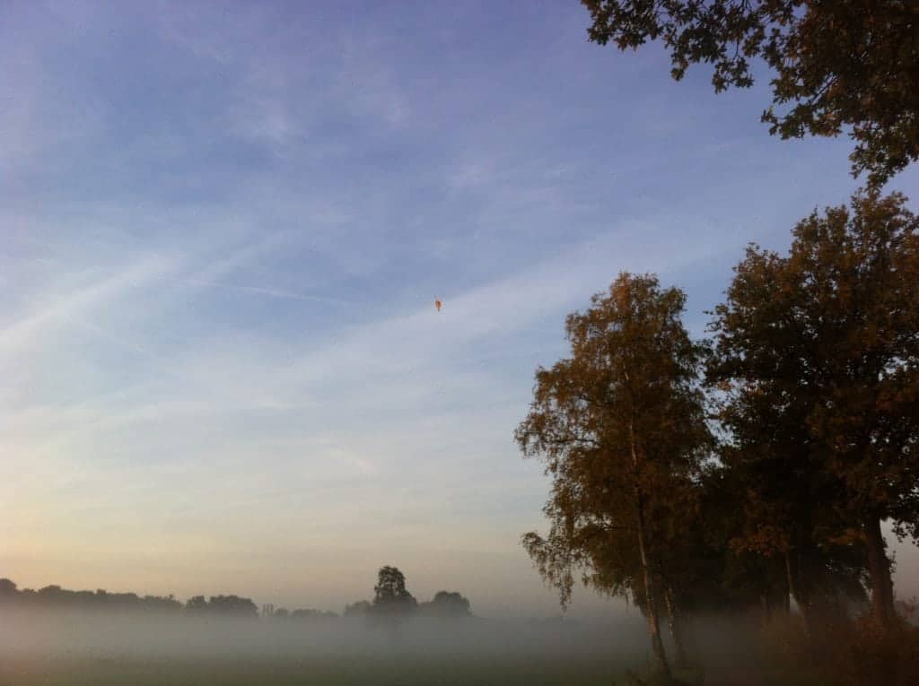 herfstblaadje