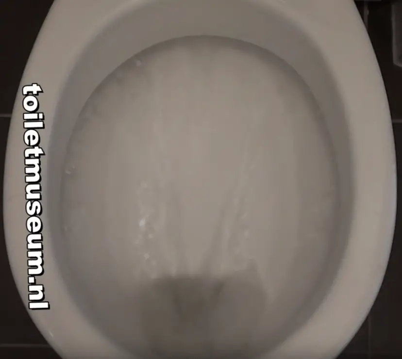 vlakspoeler vlakspoel toilet