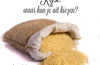 Rijst: 8 soorten om uit te kiezen + is rijst groente?
