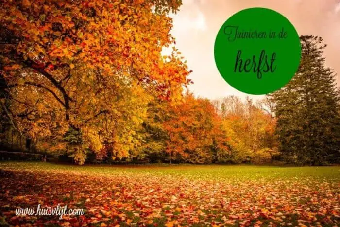 Tuinieren in de herfst 1 tuinieren in de herfst