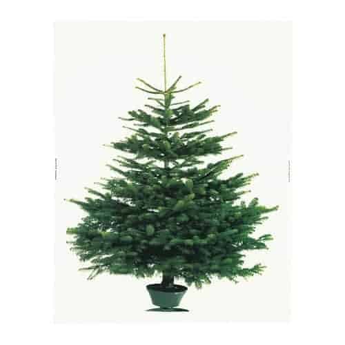 alternatieve kerstbomen een gewone kerstboom is zooo 2014 huisvlijt