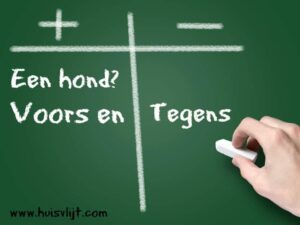 een hond