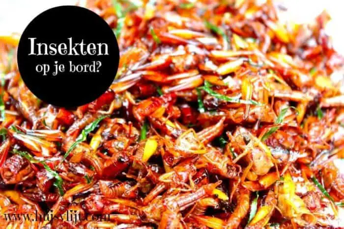 gefrituurde sprinkhaan insekten eten