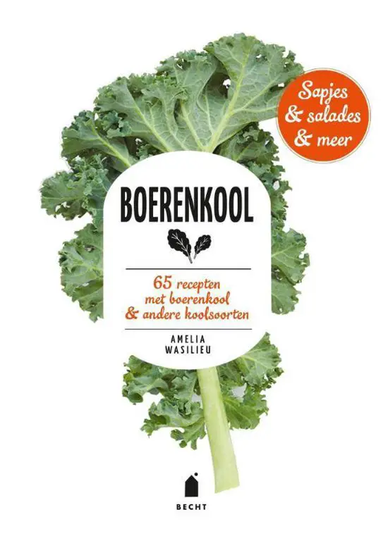 Hoe gezond is boerenkool? 8 gezondheidsvoordelen + 69 recepten 2 boerenkool