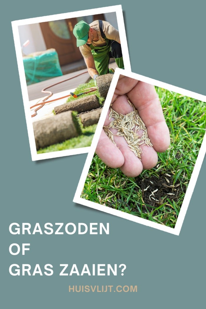 graszoden versus zaaien