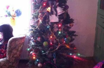 Hèhè, de kerstboom staat