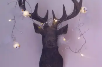 Sprookjesachtig hert!