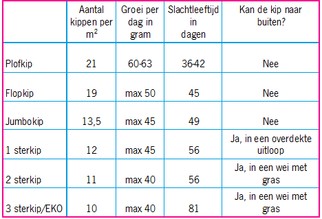 Plofkip, Flopkip en Nieuwe Standaard Kip 2 wakker dier