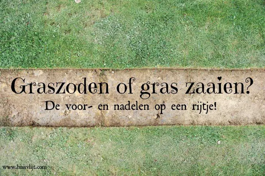 Graszoden of gras zaaien?