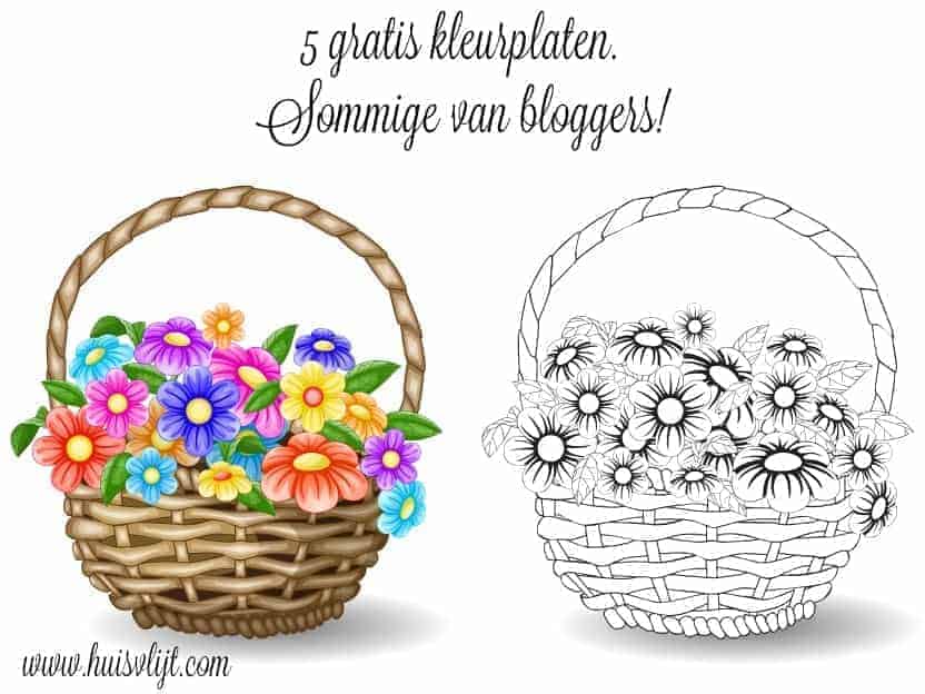 Hoe ik 3 gratis kleurplaten voor volwassenen maakte met AI!