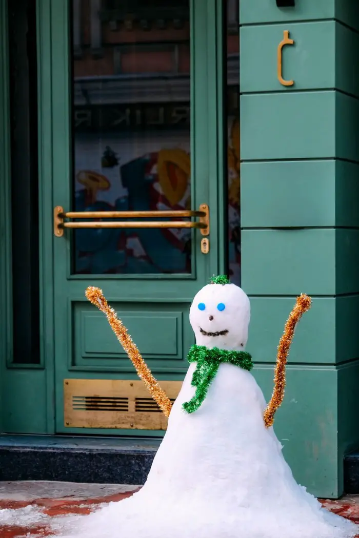 sneeuwpop