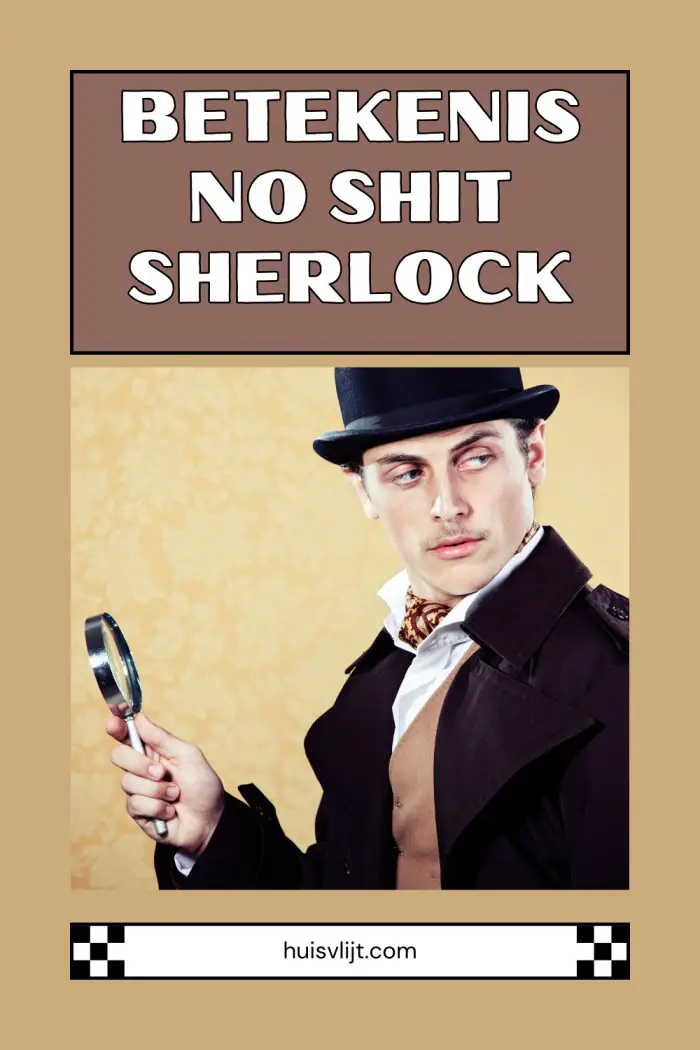 no shit sherlock betekenis