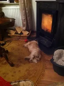 genieten