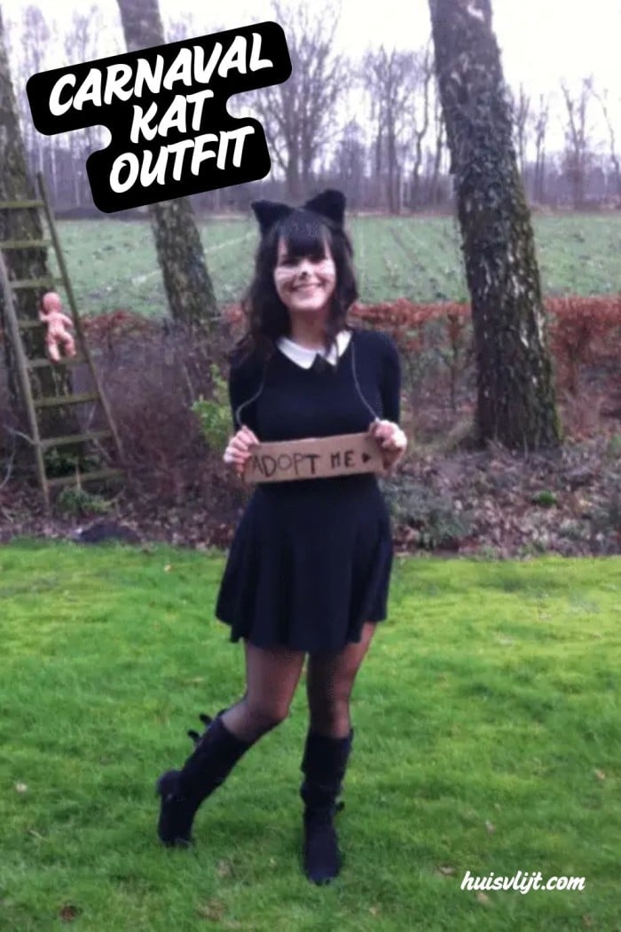 carnaval kat outfit