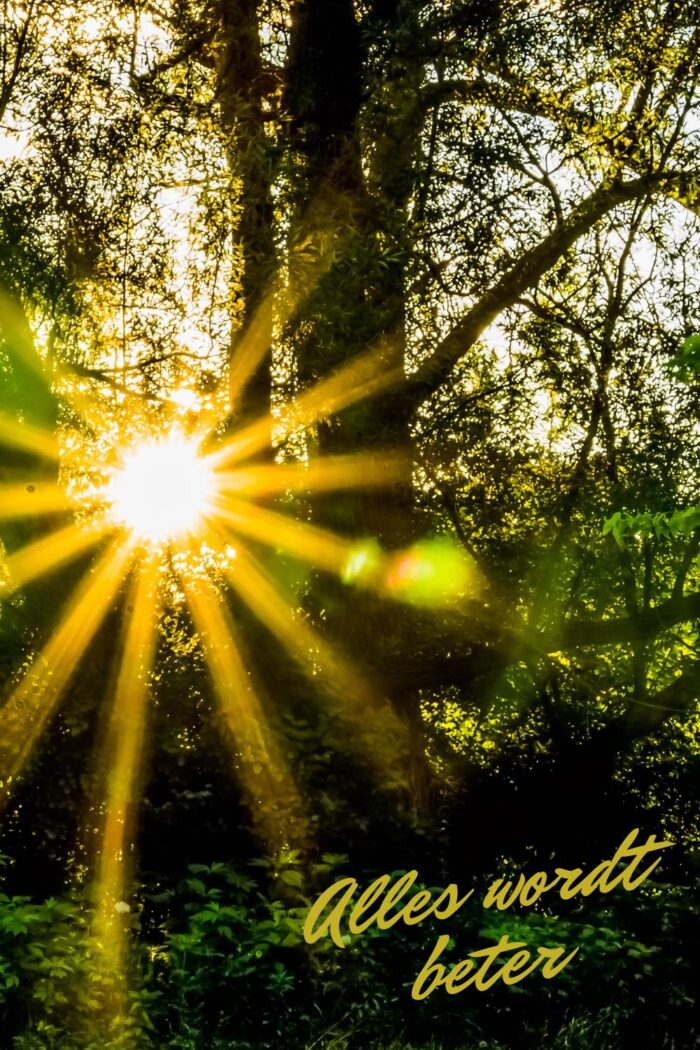 ALLES WORDT BETER visual data 5