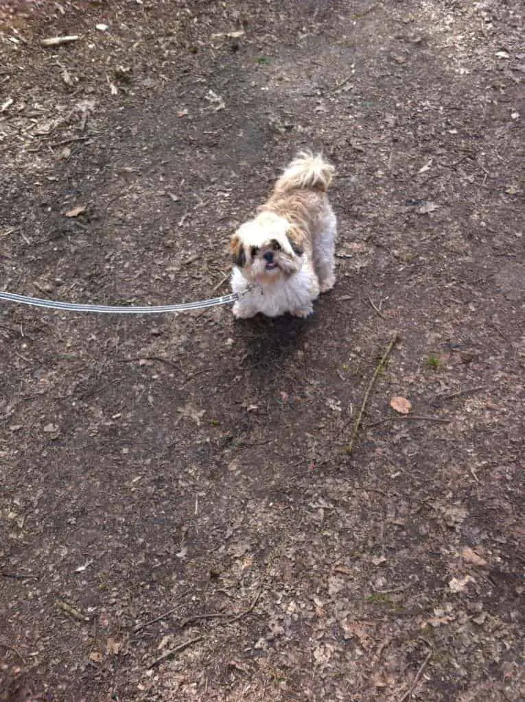 wandelen op zondag