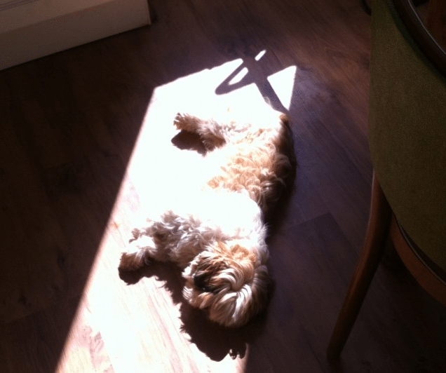 Screen Shot 2016-04-08 at 12.15.02