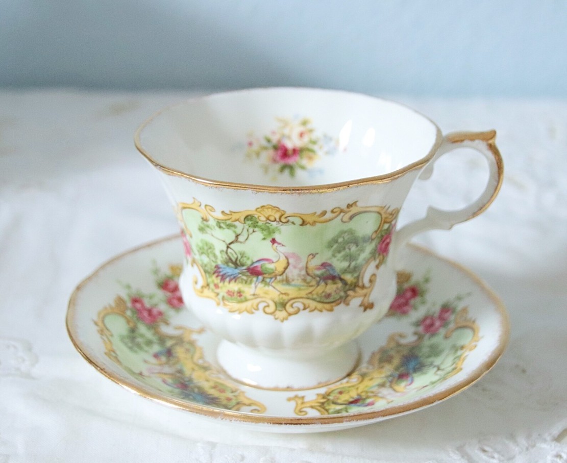 paragon kop en schotel