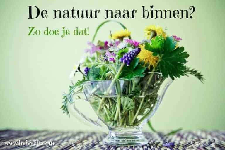 natuur