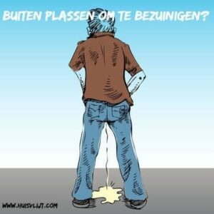 plassen