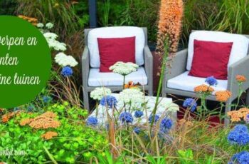 Ontwerpen en planten voor kleine tuinen