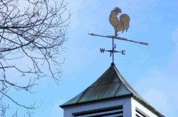 Natuurlijke manieren om het weer te voorspellen