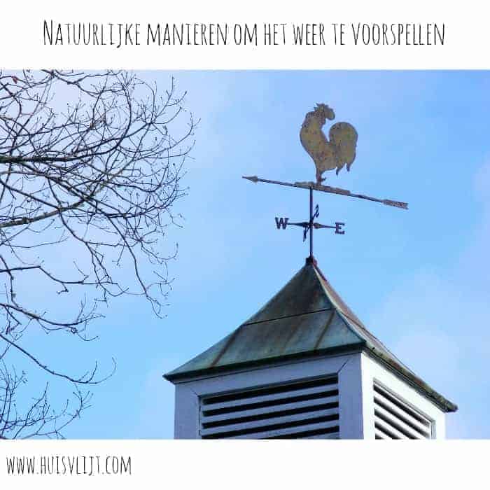 Natuurlijke manieren om het weer te voorspellen