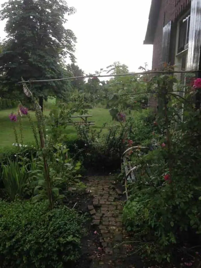 rozenboog maken