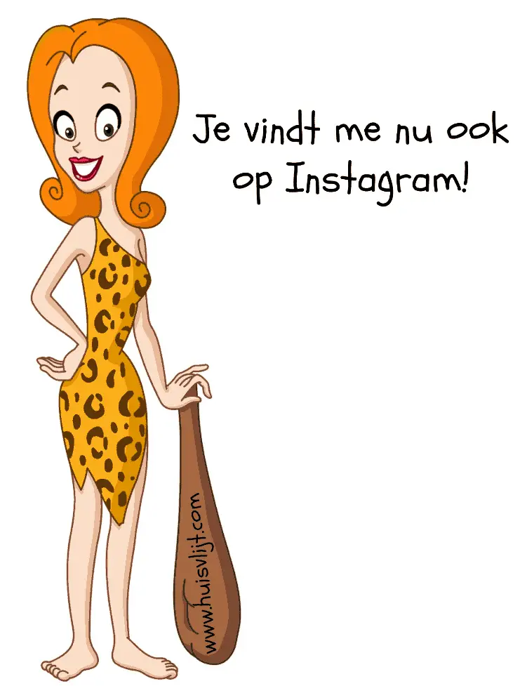 Ik heb me bekeerd tot Instagram