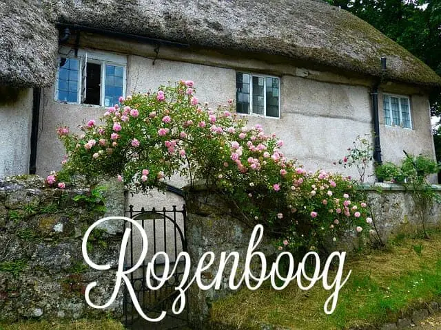 rozenboog maken