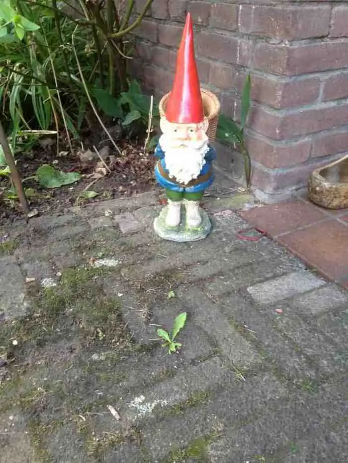 Tuinkabouter: leuk of überkitsch? 6 Tuinkabouter: leuk of überkitsch?