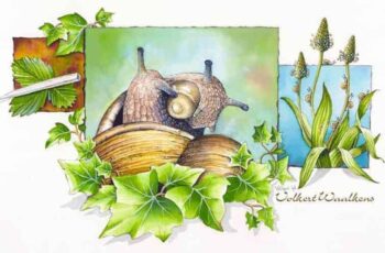 Over mooie illustraties en pensioen