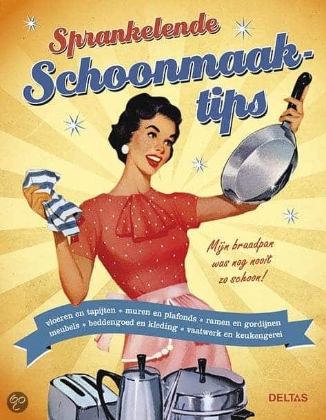 Het grote poetsboek van Diet Groothuis 2 het grote poetsboek