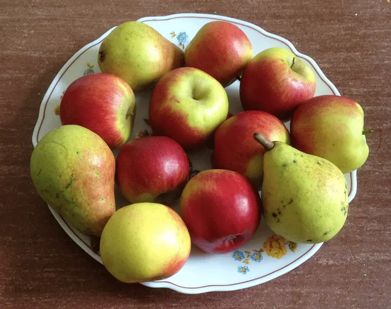 Arcopal bord als fruitschaal