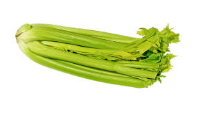 celery 692867 640