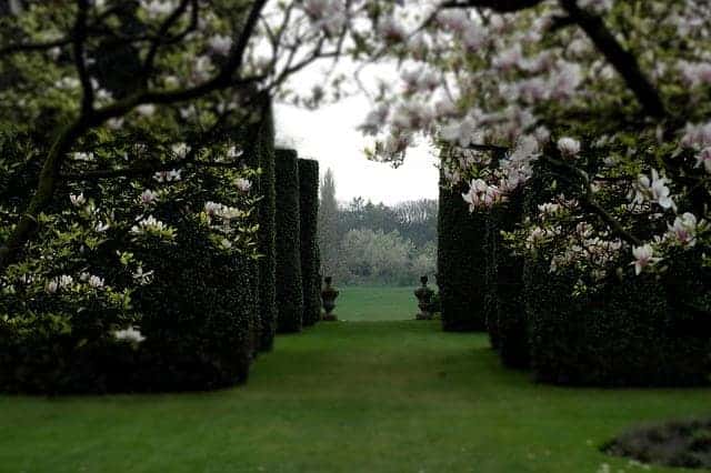 klassieke tuin