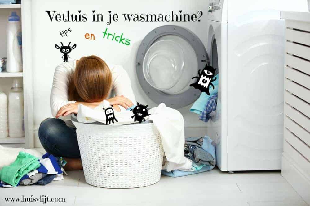 Vetluis wasmachine: wat is het, en hoe kom je er van af?