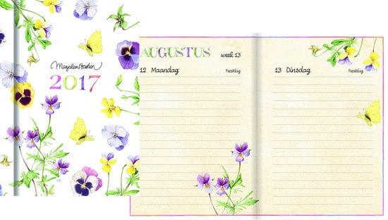 Hoe kies je je nieuwe agenda voor 2017? 5 agenda