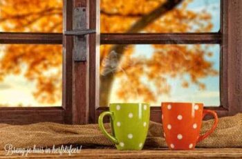 Sfeermakers voor de herfst