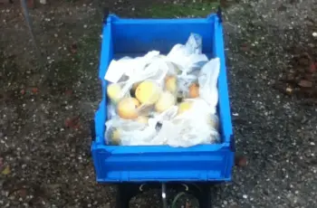 Nog 2 kraampjes aan de weg : )