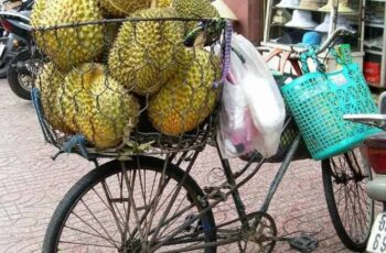 Boodschappen doen op de fiets: wie doet het nog?